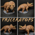Triceratops print image