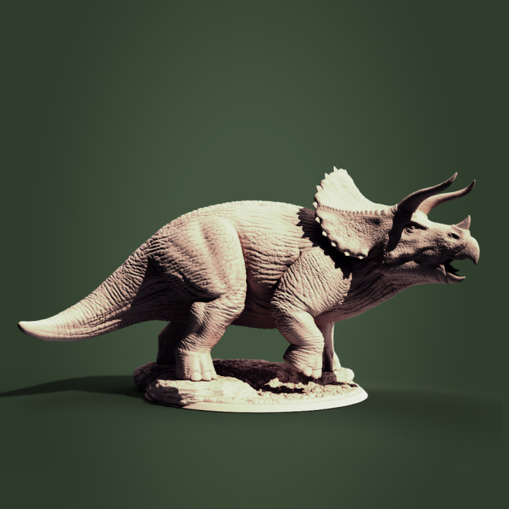 Triceratops's Cover