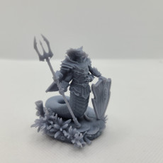 Picture of print of Naga Guardian 32mm and 75mm pre-supported