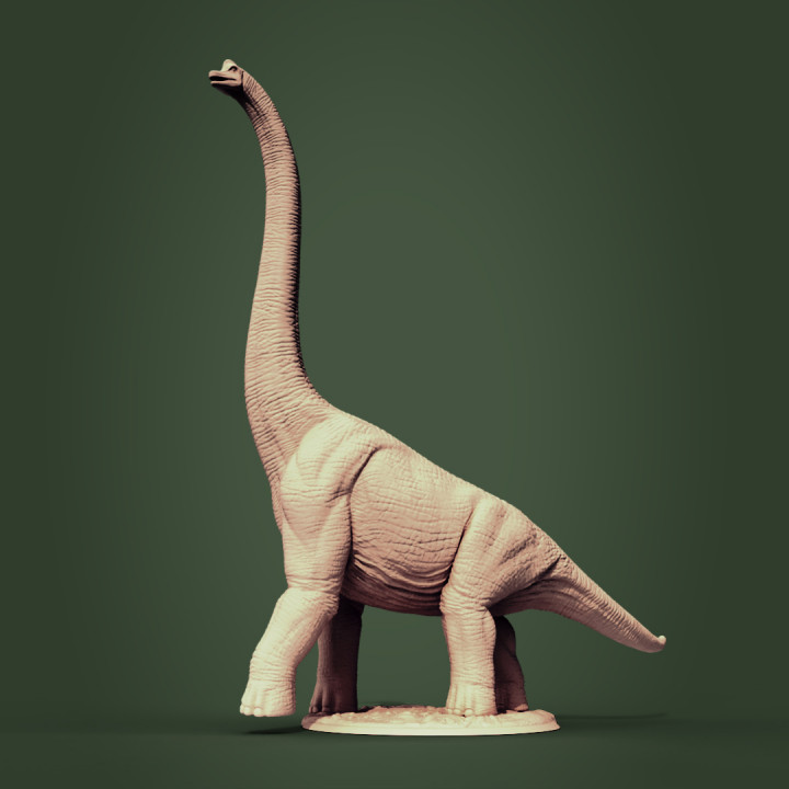 Brachiosaurus's Cover