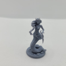 Picture of print of Naga female warriors set 32mm pre-supported