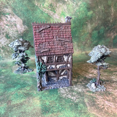 Picture of print of Healer's house