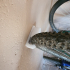 Bicycle wall mount - Monkey - Suporte de Parede para Bicicleta image
