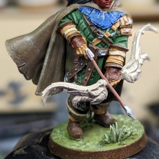Picture of print of Tiefling Ranger