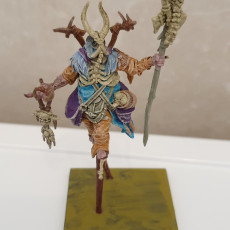 Picture of print of Scrap Shaman
