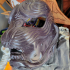 Japanese Lion Mask - Devil Mask - Hannya Mask - Halloween cosplay print image