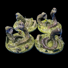Picture of print of Swamp Leeches  x 2