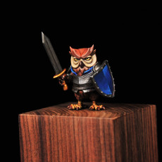 Picture of print of Knight Owl Sword 2