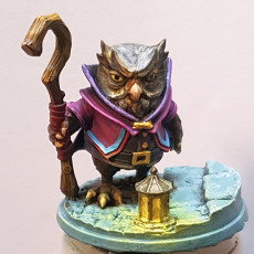 Picture of print of Mage Owl 3