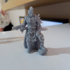 Picture of print of (0014) Male human elf half orc tiefling barbarian commander with sword
