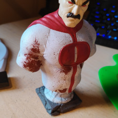 Picture of print of Omni-Man - Invincible Fanart Bust