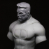 Omni-Man - Invincible Fanart Bust image