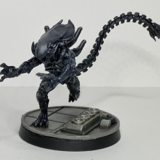 Picture of print of XENO BROOD ABDUCTOR