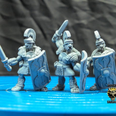 Tortol Fighters (pre supported)