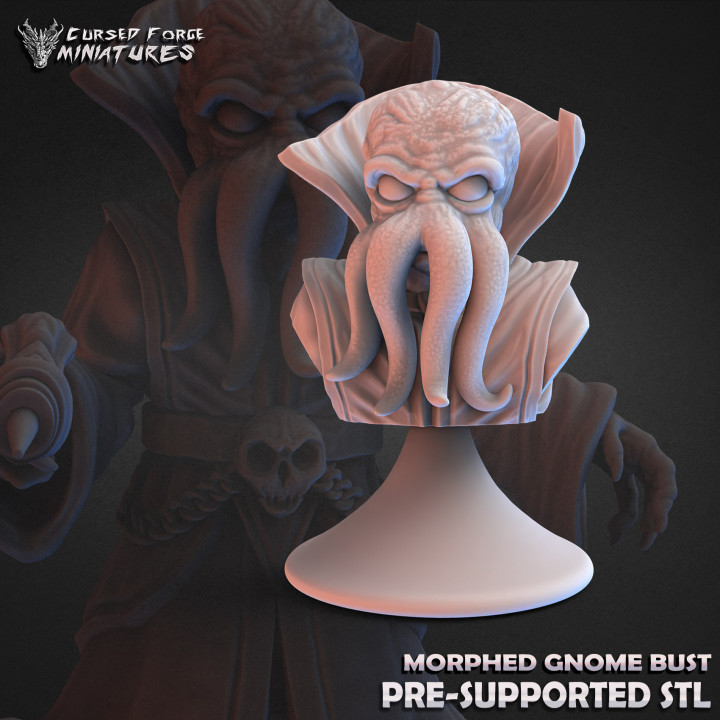$2.99Morphed gnome bust (supported)