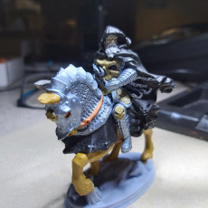 Picture of print of Death Knight Fantasy Rider
