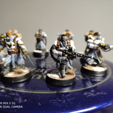 Picture of print of Ice Warriors - Elite squad of the Imperial Force