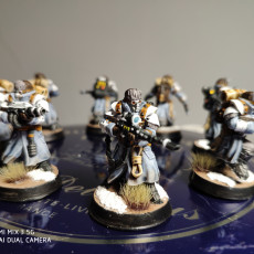 Picture of print of Ice Warriors - Elite squad of the Imperial Force