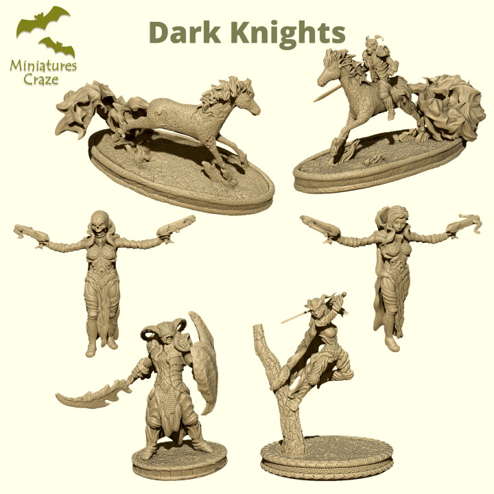 Dark Knights's Cover