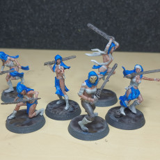 Picture of print of Punished chainsword nuns set 2