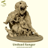 Undead Ranger image