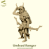 Undead Ranger image