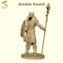 Anubis Guard image