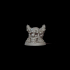 Clown Skull (Ha-Ha! Base 40mm) image