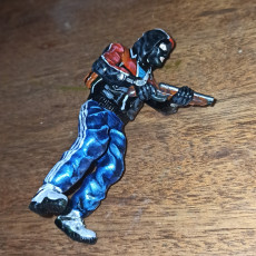Picture of print of Zone Bandit