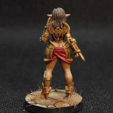 Picture of print of Itaka- Female Monk - 32mm - DnD