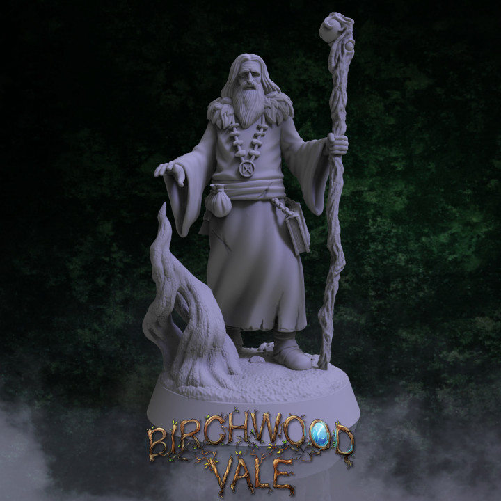 Birchwood Vale Heroes Palandoe's Cover