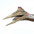 Flying Quetzalcoatlus print image