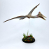 Flying Quetzalcoatlus print image