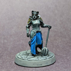 Picture of print of Lionborn Miniatures set - Supported