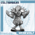 14 Werewolf Celthunders Fantasy Football 32mm image