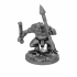 Frog warrior Skink proxy (Seraphon army proxy miniatures) image