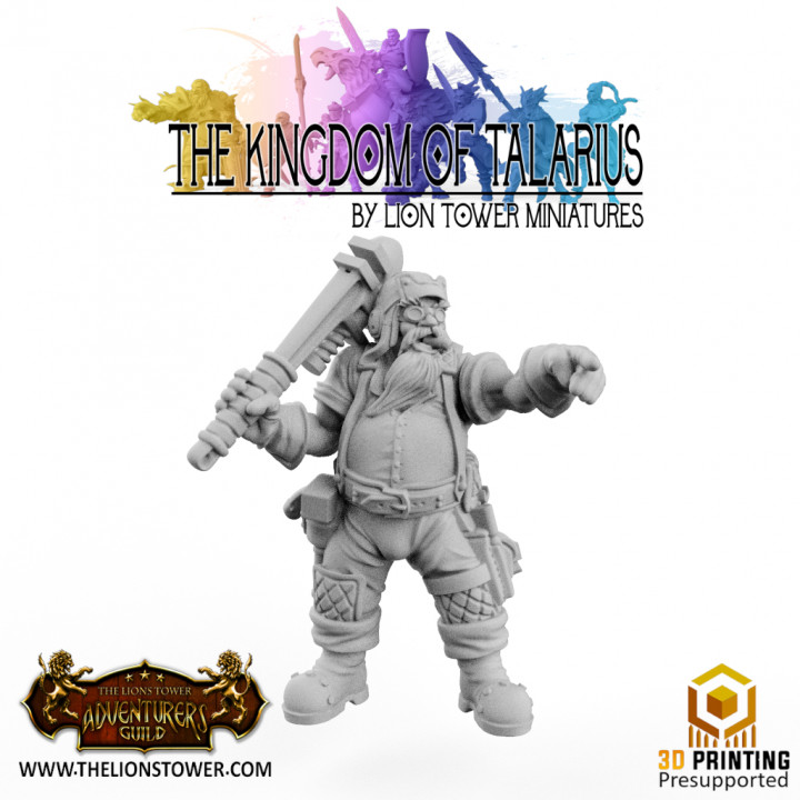 Kingdom of Talarius - Chief Engineer Sidney - 32mm Presupported's Cover