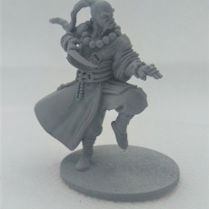 Picture of print of Kingdom of Talarius - Grand Master Kang- 32mm Presupported