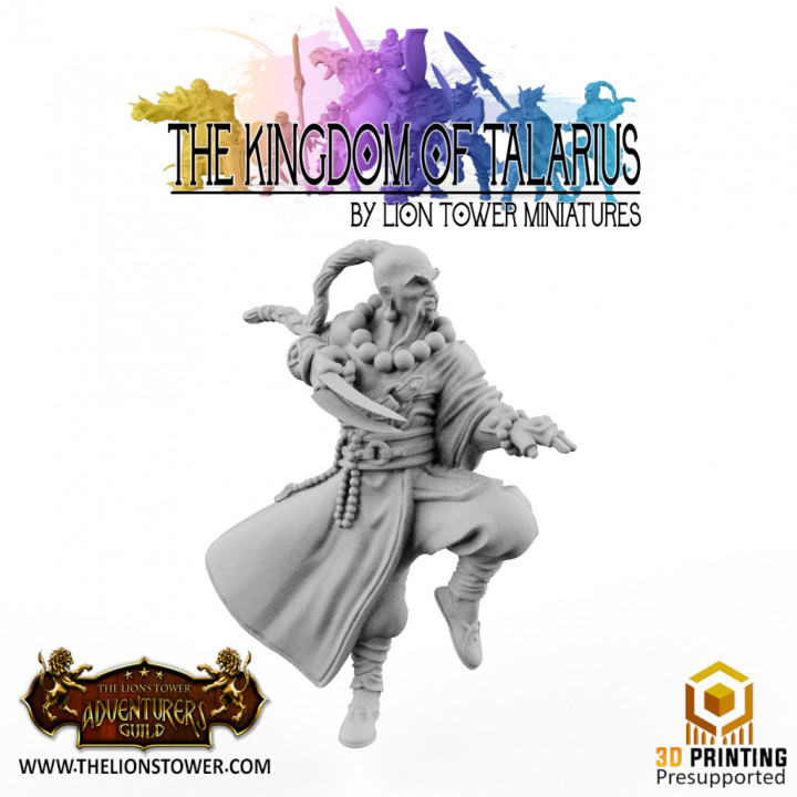 Kingdom of Talarius - Grand Master Kang- 32mm Presupported's Cover