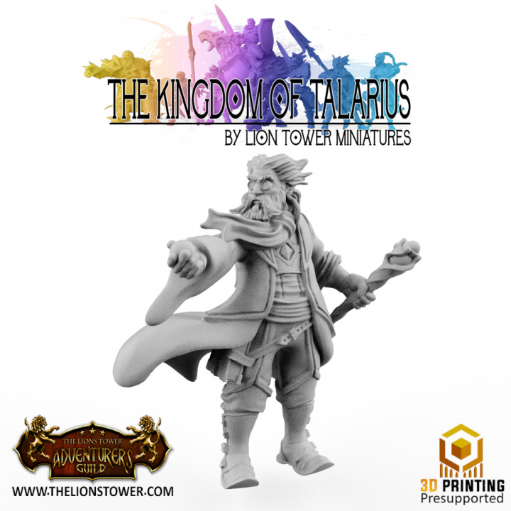 Kingdom of Talarius - Grand High Sage Toller- 32mm Presupported's Cover