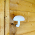 Wall Mushroom image
