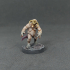 Fantasy Series 11 Bundle, 5x minis - PRE-SUPPORTED print image