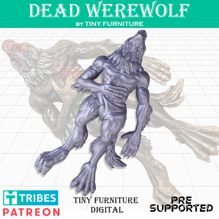 Dead Werewolf (Harvest of War)'s Cover