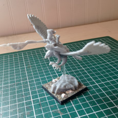 Picture of print of Elven Hero on Eagle Miniature (modular)