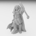 Elven Lion Guard Alpha miniature image