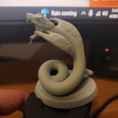 Picture of print of Giant Snake free sample