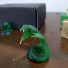 Picture of print of Giant Snake free sample