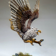 Picture of print of Griffin - Tabletop Miniature (Pre-Supported)