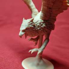 Picture of print of Griffin - Tabletop Miniature (Pre-Supported)