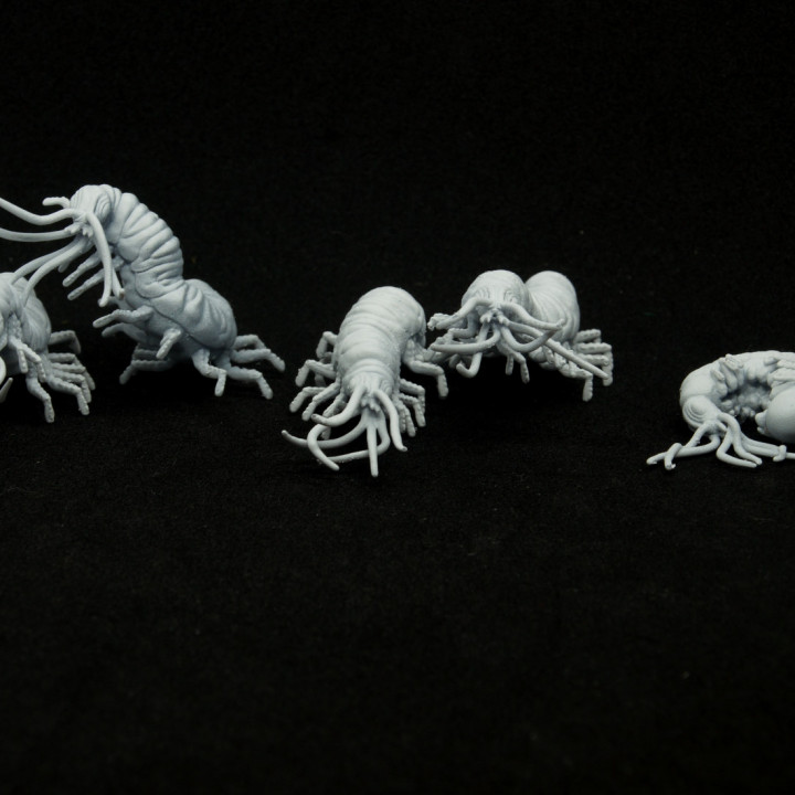 $6.00Classic Carrion Crawler (5 models)